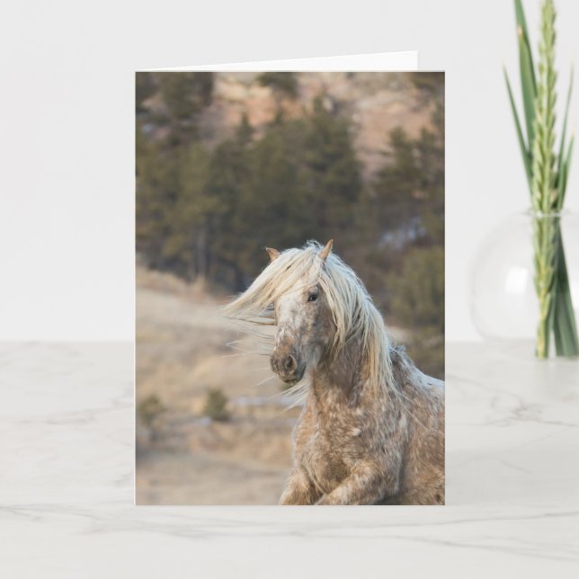 Snowfall - Galloping to Freedom Greeting Card (Front)