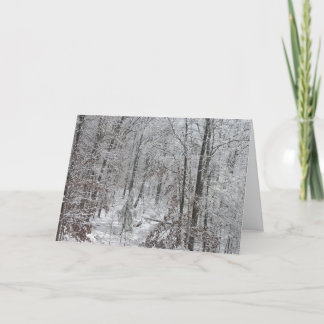 Snowfall in SC mtns Holiday Card