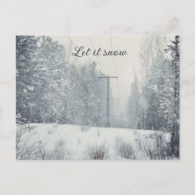 Snowfall in the winter forest  holiday postcard (Front)