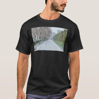 Snowfall on Parc Andre Citroen in Paris Classic T- T-Shirt