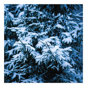 Snowfall Winter Christmas Tree Photo Print