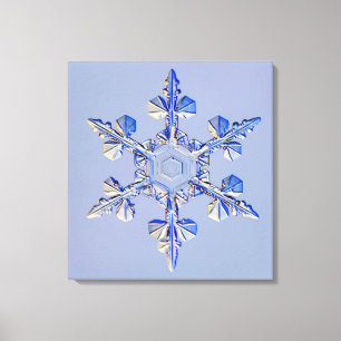 Snowflake 2 canvas print