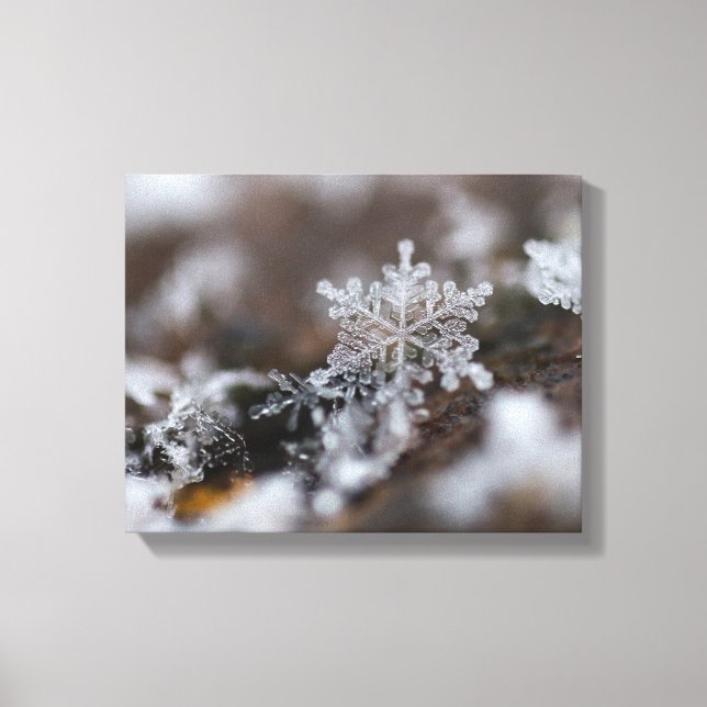 Snowflake canvas (Front)