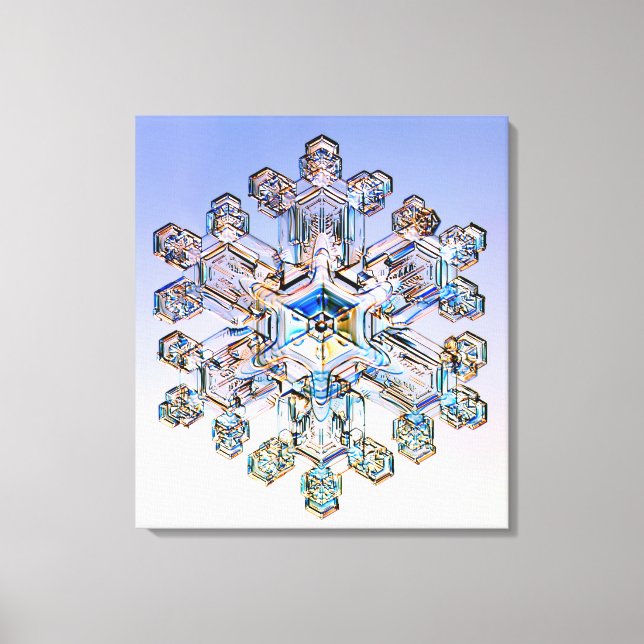 Snowflake Canvas Print (Front)