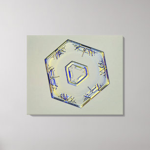 Snowflake Crystal 2 Canvas Print