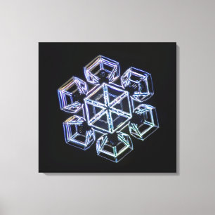 Snowflake Crystal 3 Canvas Print