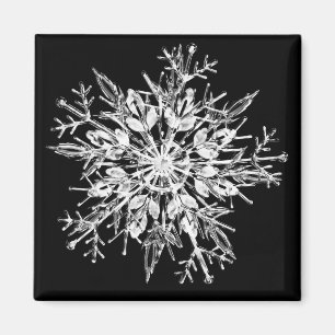 Snowflake Crystal   Magnet