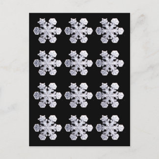 Snowflake Crystal Photos Postcard