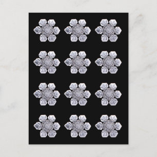 Snowflake Crystal Photos Postcard