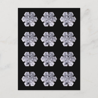 Snowflake Crystal Photos Postcard