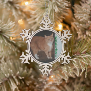 Snowflake Framed Cat Ornament