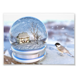 Snowflake Globe Photo Print