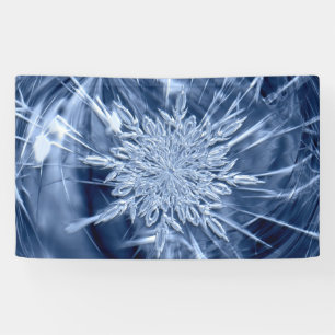 Snowflake Ice Crystal Banner