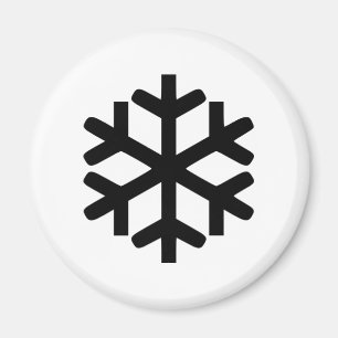 Snowflake Magnet