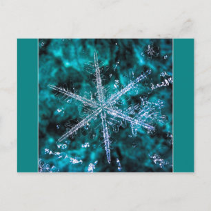 Snowflake on green photo postcard