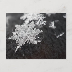 snowflake postcard