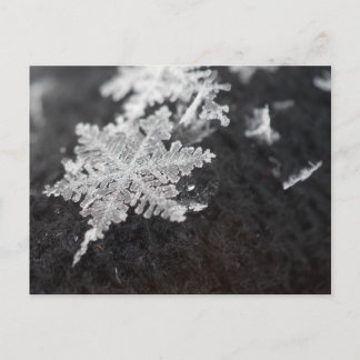 snowflake postcard