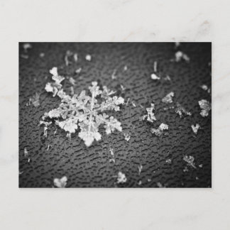 Snowflake Postcard