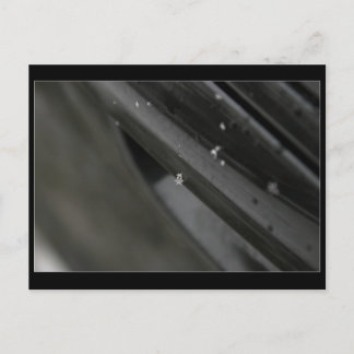 snowflake postcard - black and white