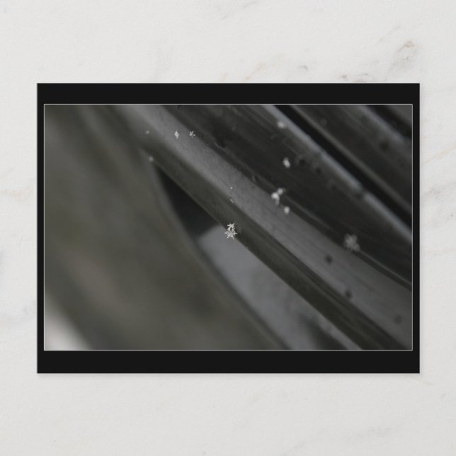 snowflake postcard - black and white (Front)