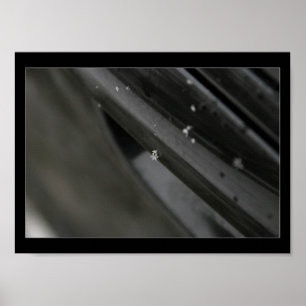 snowflake print - black and white