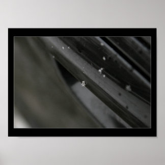 snowflake print - black and white