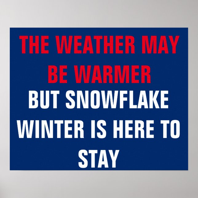 Snowflake Winter is Here Resist Persist Protest Poster (Front)