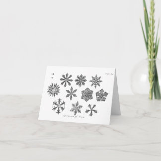 Snowflakes -- 1791 holiday card