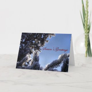 Snowflakes and Pine Tree Season's Greetings Holiday Card