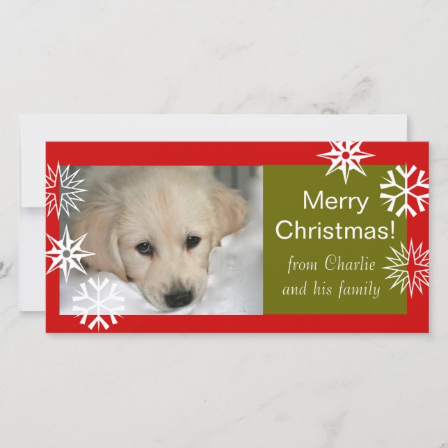 Snowflakes Dog Merry Christmas Photo Cards (Front)