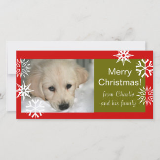 Snowflakes Dog Merry Christmas Photo Cards