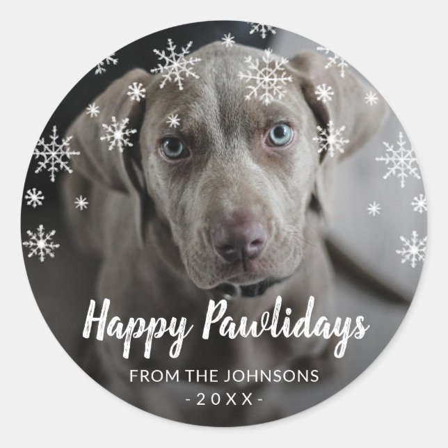 Snowflakes Dog Photo Cute Christmas Classic Round Sticker (Front)
