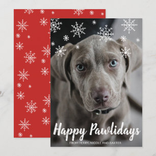 Snowflakes Happy Pawlidays Photo Dog Christmas Holiday Card