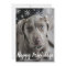 Snowflakes Happy Pawlidays Photo Dog Christmas