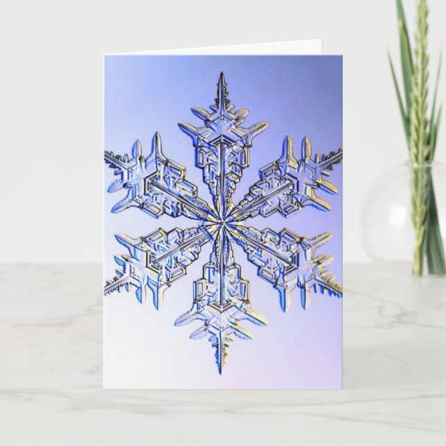 snowflakes holiday card (Front)