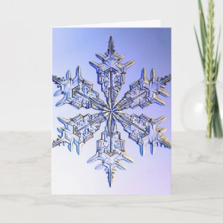 snowflakes holiday card
