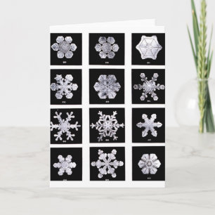 Snowflakes Holiday Card