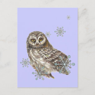 Snowflakes Winter Owl, Watercolor Bird Postcard