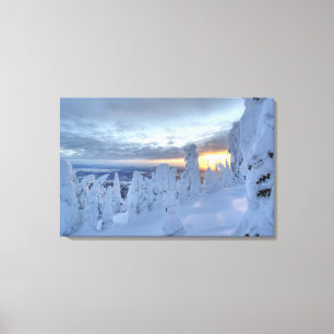 Snowghosts at sunset at Whitefish Mountain Canvas Print
