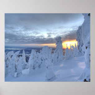 Snowghosts at sunset at Whitefish Mountain Poster