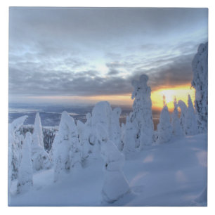 Snowghosts at sunset at Whitefish Mountain Tile