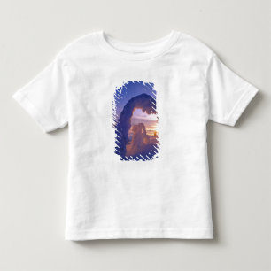 Snowghosts in the Whitefish Range of Montana Toddler T-Shirt