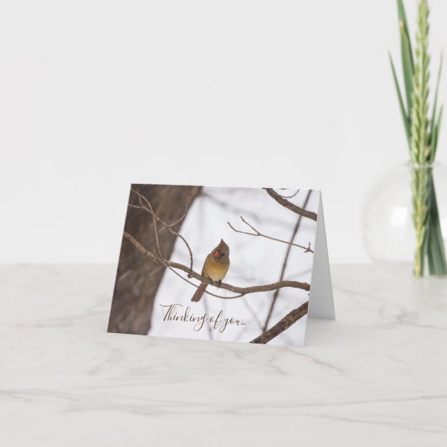 Snowing Again Says Mrs Cardinal Thinking Of You Card (Front)
