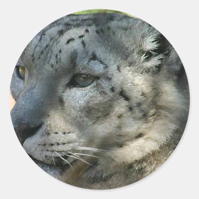 snowleopard classic round sticker (Front)