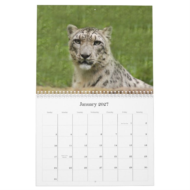 SnowLeopardBCR012, Snow Leopard Calendar (Jan 2027)