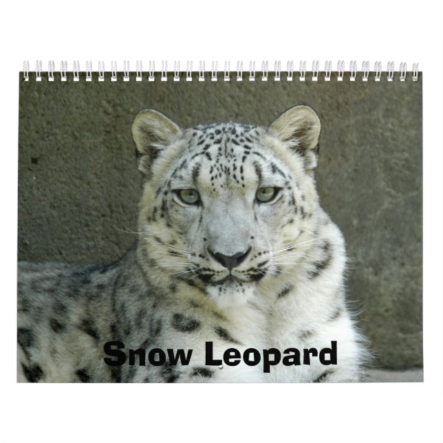 SnowLeopardM002, Snow Leopard Calendar (Cover)