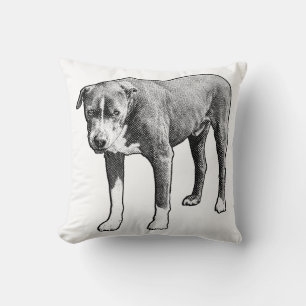 Snowlight Companion Accent Cushion