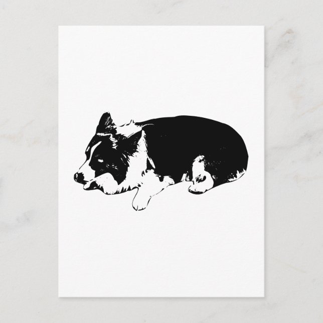 snowlight hello, corgi calm postcard (Front)