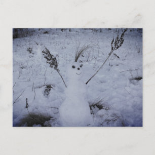 Snowman Happy Face PhotoPostcard Postcard