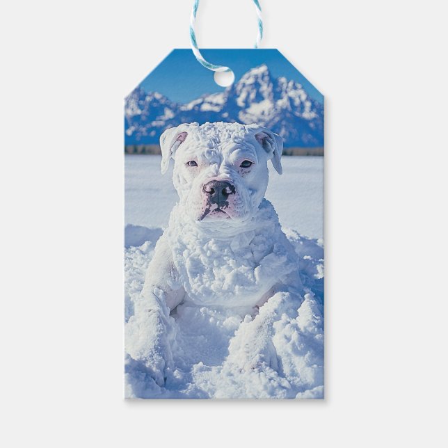 Snowman Pitbull Puppy Dog Grand Tetons Gift Tag (Front)